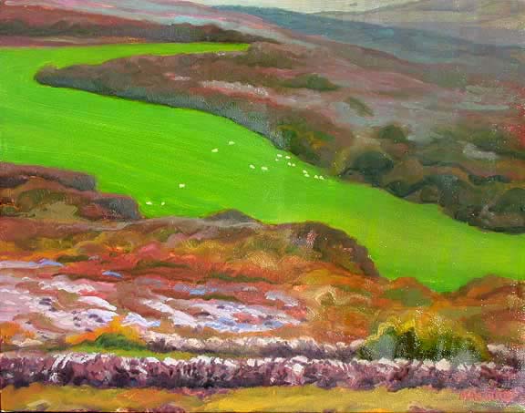 Irish Landscape - Clare